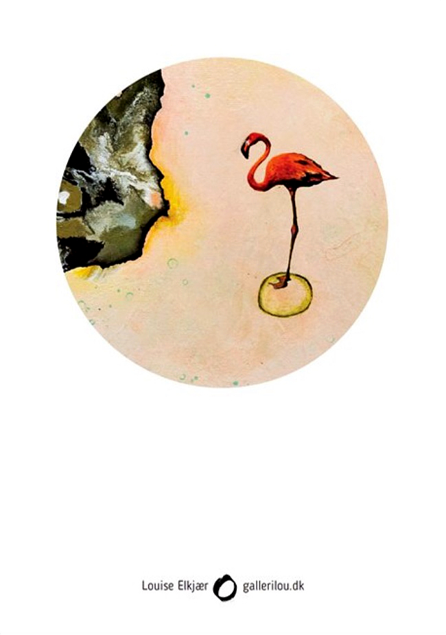 IMG_5583 Flamingo IndSigt